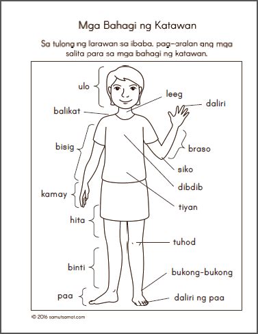 hita in English .